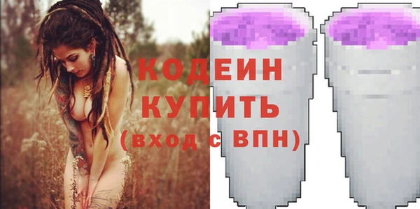 мдпв Вяземский