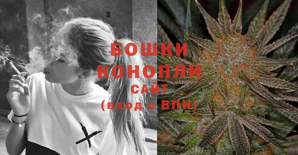 мдпв Вяземский