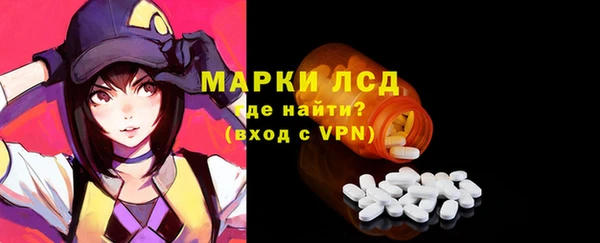 мдпв Вяземский
