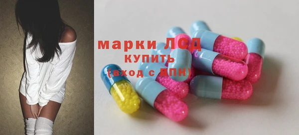 мдпв Вяземский