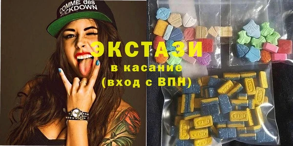 мдпв Вяземский