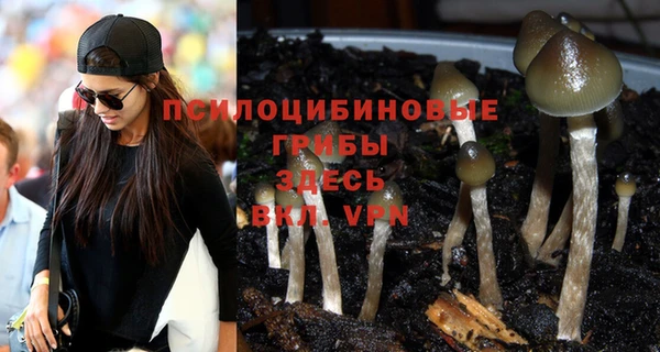 MESCALINE Вязьма