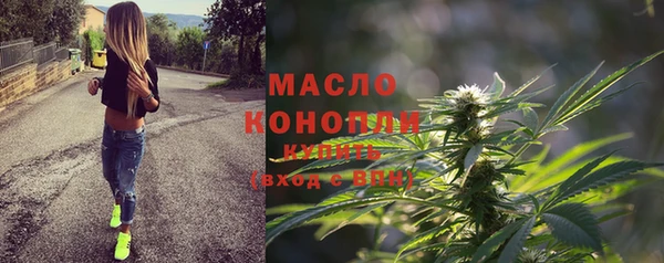 мдпв Вяземский