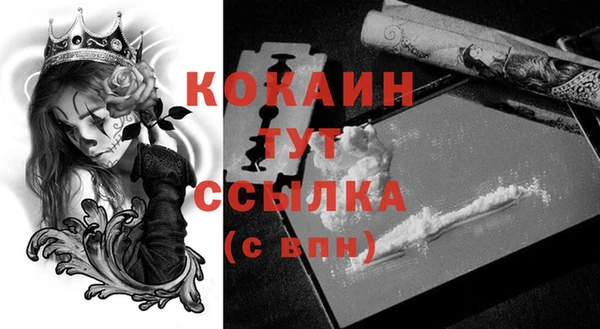 крисы Вязники