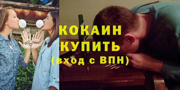 мдпв Вяземский